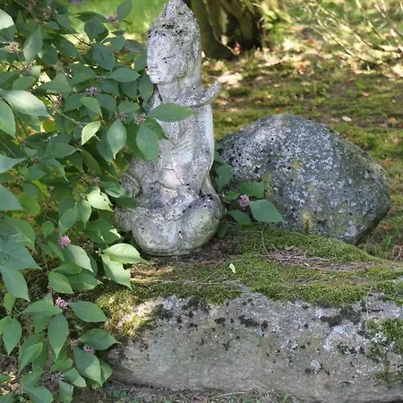 - Wohlfuehlambiente & Gartenparadies Apartment *