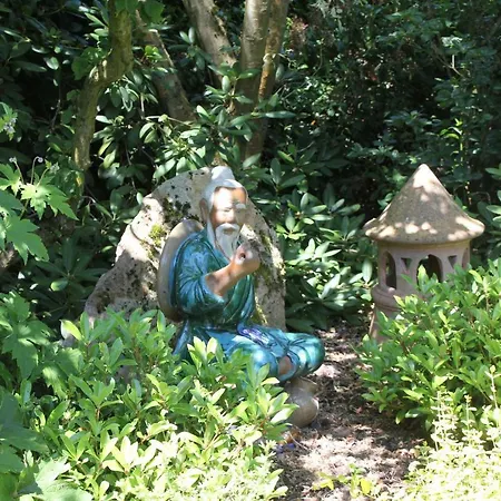 - Wohlfuehlambiente & Gartenparadies Apartment Modautal