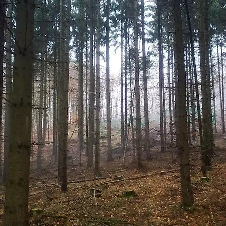 - Wohlfuehlambiente & Gartenparadies *