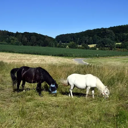 - Wohlfuehlambiente & Gartenparadies Apartman Modautal