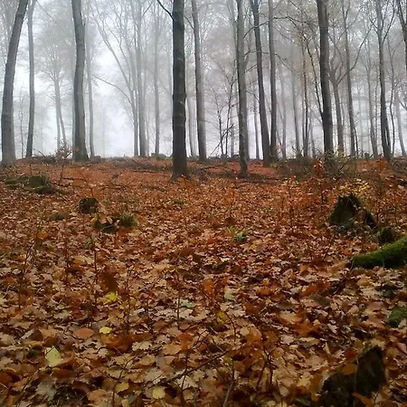 - Wohlfuehlambiente & Gartenparadies Apartman Modautal