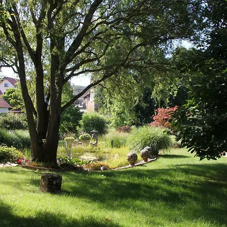 - Wohlfuehlambiente & Gartenparadies Modautal