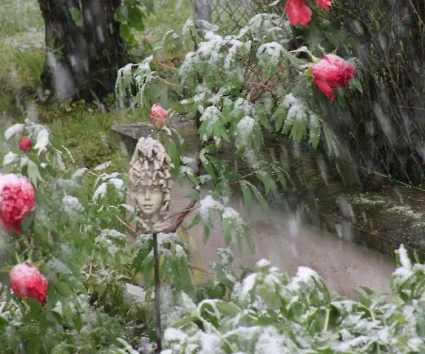 - Wohlfuehlambiente & Gartenparadies * Modautal