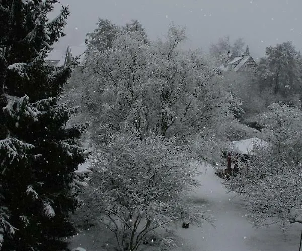 Lägenhet - Wohlfuehlambiente & Gartenparadies