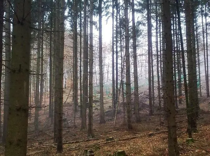 - Wohlfuehlambiente & Gartenparadies *