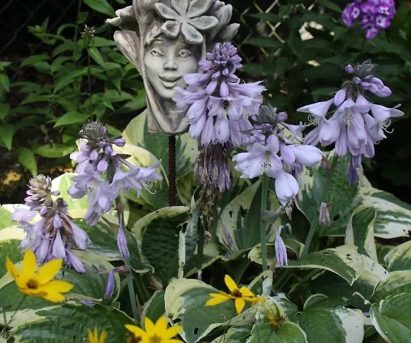 Lägenhet - Wohlfuehlambiente & Gartenparadies *