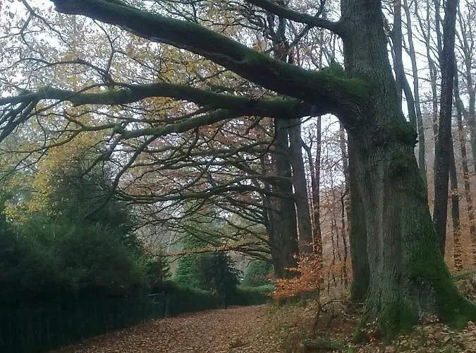 Apartment - Wohlfuehlambiente & Gartenparadies