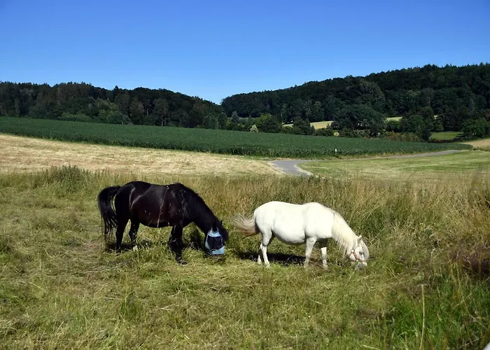 - Wohlfuehlambiente & Gartenparadies Apartment Modautal