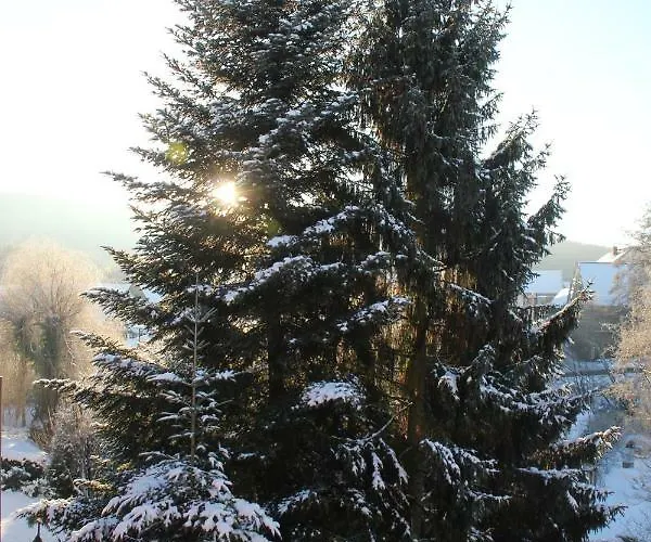 - Wohlfuehlambiente & Gartenparadies