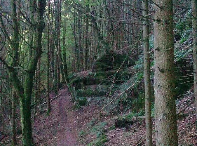 - Wohlfuehlambiente & Gartenparadies *